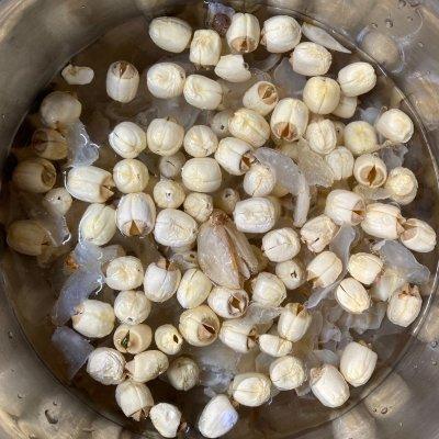 鲍鱼如何煲汤最营养 2026年鲍鱼如何煲汤最营养窍门 鲍鱼如何煲汤最营养 2026年鲍鱼如何煲汤最营养窍门