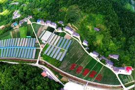 以实干精神做好有效衔接工作——省委农村工作会议精神引发强烈反响（上）图片