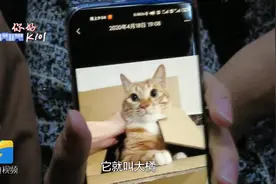 你好K101｜ “铲屎官”的甜蜜往事：高考报志愿那件“小事”视频封面