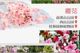 桂林市区赏花地图来了！每一处都美到惊艳图片