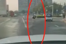惊呆了！广西街头惊现狂奔大鸵鸟，结果被套头控制住图片
