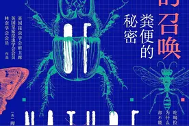 沈辛成评《自然的召唤》｜“甲虫侠先生”的怪书图片