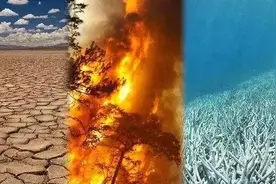 澳大利亚气候行动不力拖累全球图片