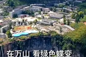 千城胜景|在万山 看绿色蝶变视频封面