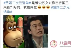 赘婿吉吉国王是什么梗 为什么叫赘婿里的苏文兴吉吉国王图片