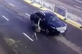 离家出走的大宠物：鸵鸟趁主人不注意逃上街头狂奔视频封面