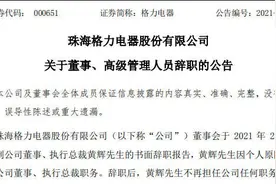 格力电器执行总裁黄辉辞职，董明珠再失“臂膀”图片
