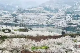 约起！贵州这些地方已成花海，美得窒息……图片