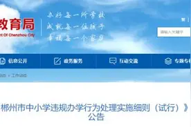 史上最严！郴州拟出台中小学违规办学行为处理实施细则图片