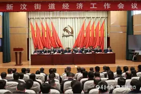 新泰市新汶街道召开经济工作会议图片