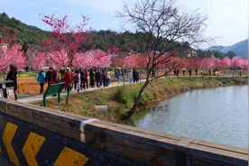 春到湘潭昭山七星村图片