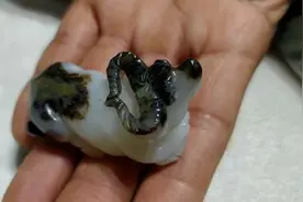 赋玉石以生命，民间匠人巧雕孺子牛视频封面