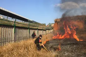 村民在高铁旁山地中扫墓引发山火，逼近高铁线路，幸亏铁警及时赶到图片