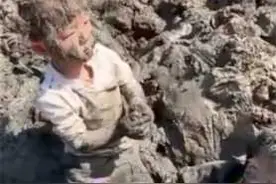 萌娃回村泥里“打滚”网友：田里“长”孩子了图片