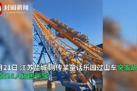 江苏盐城一过山车故障致28人被困：女游客发夹卡在轨道上触发自动报警图片