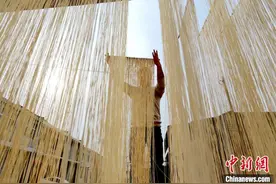 探访陕西“挂面村”图片