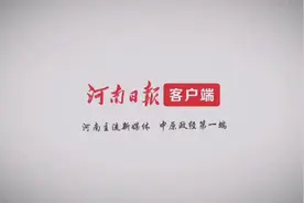 三门峡越冬白天鹅陆续北迁图片