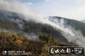 保山一社区突发森林火灾，384名救援人员第一时间赶赴现场……图片