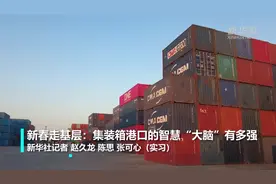新春走基层：集装箱港口的智慧“大脑”有多强视频封面