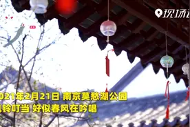 南京莫愁湖 花开朵朵报春来视频封面
