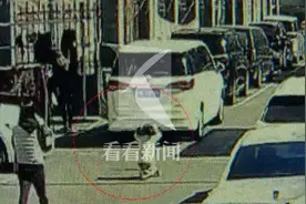 小区内玩滑板车被撞倒 6岁女孩不幸身亡！监控拍下可怕一幕……图片