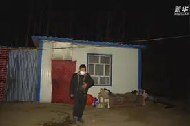“皮山驴”更皮实了图片