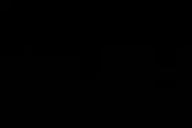 残酷的大自然！肯尼亚小斑马刚学会站立就被狮子一口叼走图片