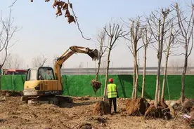 项目突破抓落实丨争时抢速！204国道环境提升工程计划3月下旬完工图片