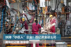 扶持“小巨人”企业！百亿资金这么花视频封面