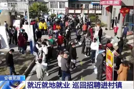 安徽芜湖：就近就地就业 巡回招聘进村镇图片