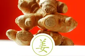 聆听汉字之美：《饮食字传》作料篇·姜图片