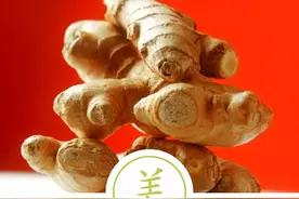 聆听汉字之美：《饮食字传》作料篇·姜图片