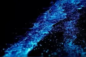 整片海都在发光！广东这里再现奇观图片