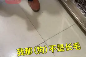 爱犬在宠物店洗澡后大爷竟不认识了：这不是我的狗，没这么白图片