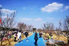 看飞机直冲云霄 成都又多了一个网红打卡地图片