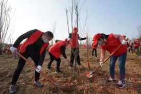 万余株！信阳北湖岸边植树忙图片