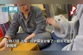小狗狗可以有多偏心！狗子旁观妈妈打爸爸 看见他反击瞬间翻脸图片