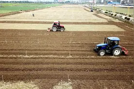 每日一词∣农业农村现代化 modernization of agriculture and rural areas图片