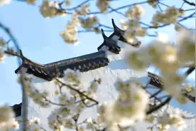 早春，到浉河赴一场浪漫之约图片