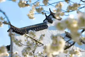 早春，到浉河赴一场浪漫之约图片