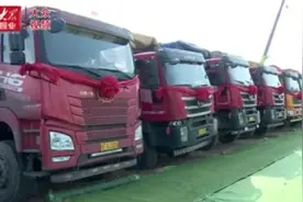 总投资超80亿！威海南海新区举行11个项目集中开工图片