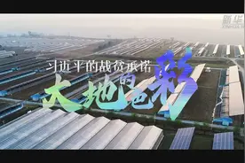 彪炳史册的伟大奇迹——中国脱贫攻坚全纪实图片