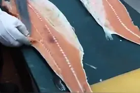 四海一家南宁店被指使用变质三文鱼，监管部门突击抽样送检图片