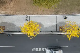 “春天的广州秋天的曼哈顿”刷屏！热门打卡点在这→图片