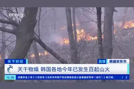 山林过火面积达到255公顷！持续21小时后，韩国山火终于被扑灭图片