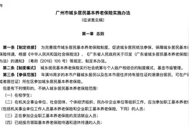 广州征求意见：城乡居民基本养老保险一次性提高缴费标准可享政府补贴差额图片
