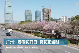 广州：春暖花开日  赏花正当时视频封面