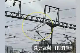 今天杭州多趟高铁通行受影响，起因竟是一块小小的塑料薄膜图片