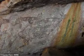 澳大利亚惊现1.7万年前袋鼠岩画，是该国最古老的完整岩画图片
