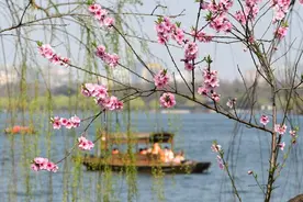 乍暖还寒！还有两股冷空气候场，周四后要下雨！3月初最低温跌至5℃以下图片